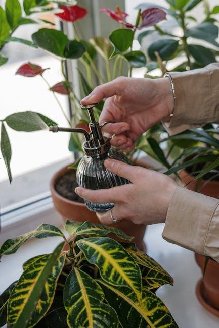 Application Tips for Maximizing Moisture and Comfort