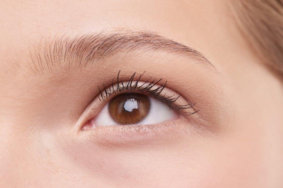 Understanding Your Natural Brow Shape