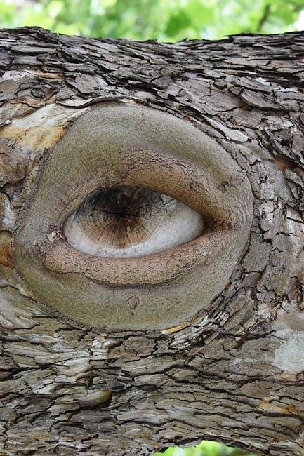 Tailored⁣ Techniques for Different Eye Shapes